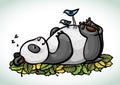 Cartoon sleeping panda and birds Royalty Free Stock Photo