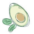 Cartoon slice of avocado with core and leaf isolated on the white