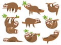 Cartoon sloths family. Adorable sloth animal at jungle rainforest. Funny animals on tropical forest trees vector set Royalty Free Stock Photo