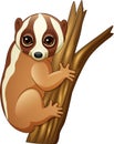 Cartoon slow loris on the branch