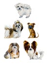 Cartoon small dogs. Gouache hand drawn illustration