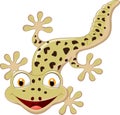 Cartoon smiling gecko Royalty Free Stock Photo