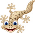 Cartoon smiling gecko