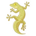 Cartoon smiling Gecko Royalty Free Stock Photo