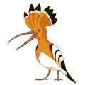 Cartoon smiling Hoopoe