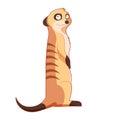 Cartoon smiling Meercat Royalty Free Stock Photo