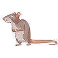 Cartoon smiling Rat Royalty Free Stock Photo