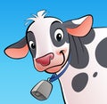 Smiling cow with a cowbell Royalty Free Stock Photo