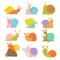 Cartoon snail. Cute slug, mollusk with shell and escargot. Funny animals vector characters Royalty Free Stock Photo