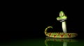 Cartoon snake Royalty Free Stock Photo