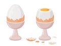 Cartoon soft or hard boiled eggs. Eggs in egg holder and eggshell, tasty breakfast meal flat vector illustration on white Royalty Free Stock Photo