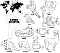 Cartoon South American animals set coloring book page