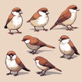 Cartoon sparrow birds vector color collection set