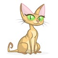 Cartoon Sphynx cat