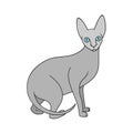 Cartoon sphynx cat