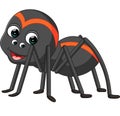 Cartoon spider tarantula