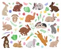 Cartoon spring bunnies. Cute rabbits, easter eggs and vegetables, funny haring animals with flowers and leaves flat vector