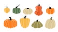 Cartoon squash. Autumn pumpkin harvest. Ripe vegetables for Halloween and Thanksgiving fall holidays. Isolated