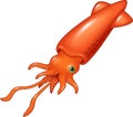 Cartoon squid isolated on white background Royalty Free Stock Photo