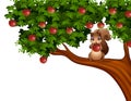 Cartoon squirrel on apple tree Royalty Free Stock Photo