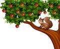 Cartoon squirrel on apple tree Royalty Free Stock Photo