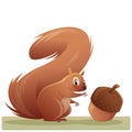 Cartoon squirrel character reaching an acorn isolated vector ill