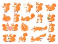 Cartoon squirrel collection poses, happy and love