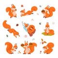 Cartoon squirrel. Forest funny squirrels in different poses. Animals sleep, storing food for winter, play and meditation Royalty Free Stock Photo