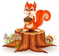 Cartoon squirrel holding pinecone on tree stump