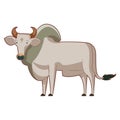 Cartoon standing zebu