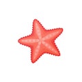 Cartoon starfish vector icon