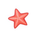Cartoon starfish vector icon Royalty Free Stock Photo