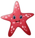 Cartoon starfish on white background