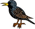 Cartoon starling on white background