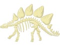 Cartoon Stegosaurus skeleton Royalty Free Stock Photo