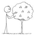 Cartoon of Man Picking Fruit From Small Sour Cherry Tree