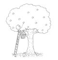 Cartoon of Man on Ladder Picking Fruit From Apple Tree