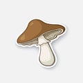 Cartoon sticker brown mushroom