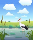 Cartoon stork on lake with reeds, blue sky with clohds landscape. vector illustration Royalty Free Stock Photo