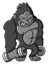 cartoon strong gorilla exercise with dumbbells Royalty Free Stock Photo