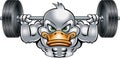 Cartoon style body builder weight lifting duck