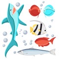 Cartoon style fish and water bubbles. Shark, sardine, discus, zebrasoma, butterfly fish, Isolated on white background.