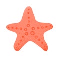 Cartoon style grunge sea star isolated vector illustration on white Royalty Free Stock Photo