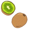 Cartoon Style Kiwi Fruit Icon Sliced and Full Illustration