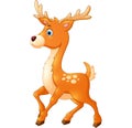 Cartoon style little deer