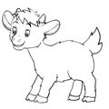Cartoon style little goat drawn in outline, isolated object on a white background, vector illustration, Royalty Free Stock Photo