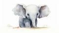 Watercolor Baby Elephant Illustration In The Style Of Dustin Nguyen