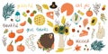 Cartoon style Thanksgiving traditional hand drawn symbols. Turkey, apple pie, pumpkin pie, jag with sunflowers, bulb garland etc