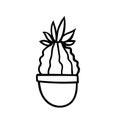 Cartoon style cactus houseplant in floral pot