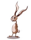 Cartoon Stylized Cute Rabbit with long Ears.